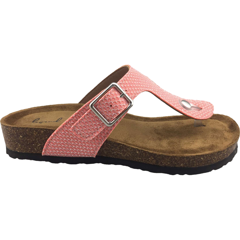 LS-1042-1 GLITTER MESH